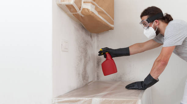Attic Mold Remediation treatment on roof deck in Chesapeake Beach